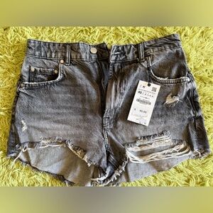 Zara Distressed Jean Shorts